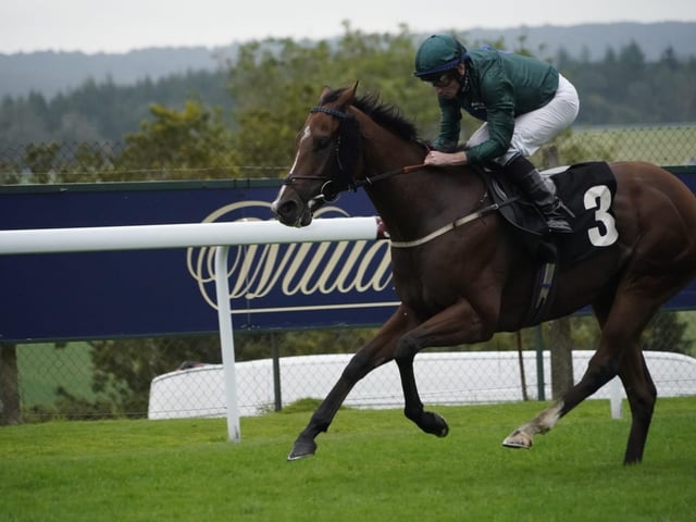 September midweek flat racing at Goodwood
