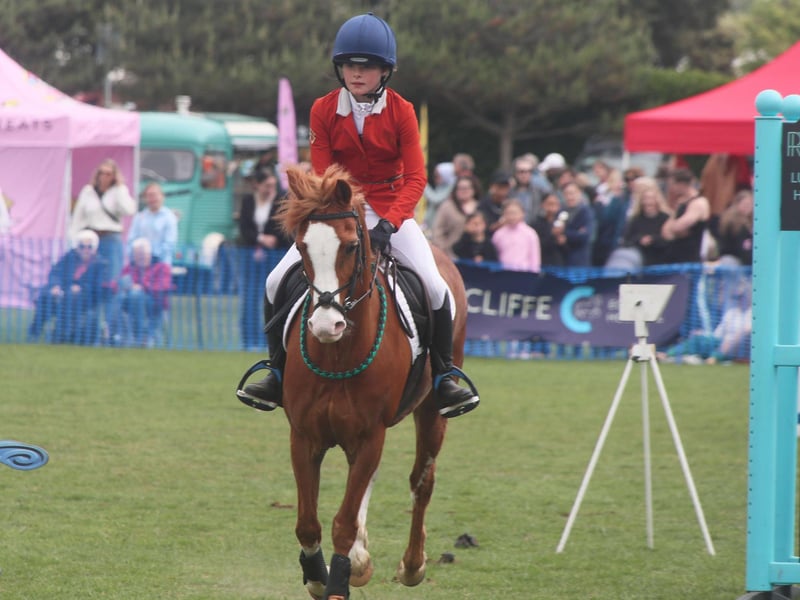 Bexhill Horse Show 2025. Photo by Roberts Photographic.