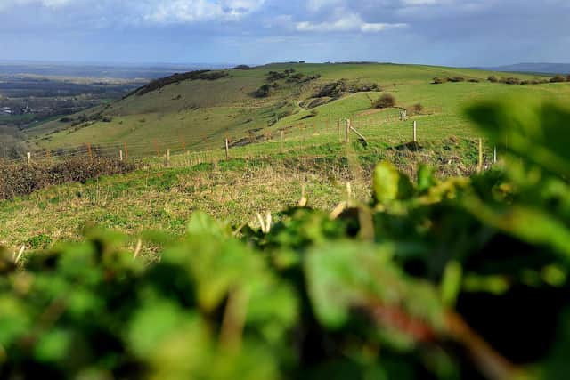 The South Downs. Pic Steve Robards SR1906950
