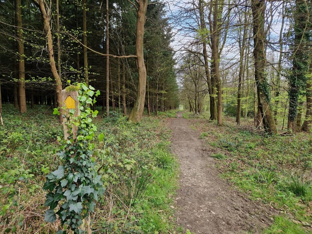 You will spot this signpost with a yellow arrow pointing your way and you continue to the next junction