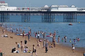 Plans to almost halve lifeguard services across Brighton and Hove have been approved following a council budget meeting.