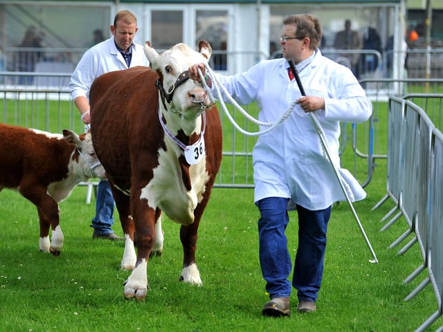 The South of England Show 2022 at Ardingly runs from Friday to Sunday, June 10-12