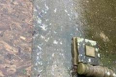Residents say they have experienced foul sewer drains and sewage spillages ever since properties in Roebuck Park were connected onto the same system ten years ago.