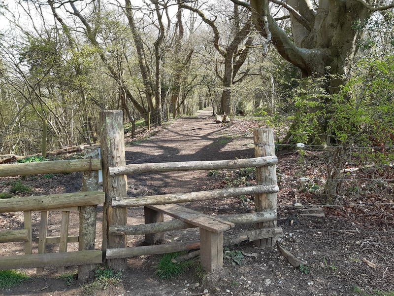 You are now crossing on to a wide path going through the wood. You will hear the traffic on Long Furlong on your left.