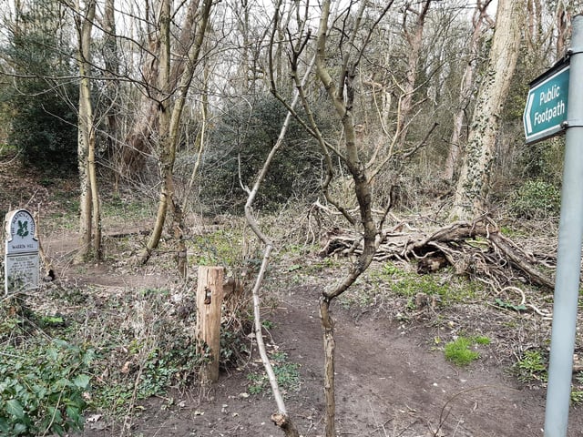 Find the footpath sign on the left and head up Warren Hill, which is fairly steep