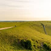 The South Downs Way at Devil's Dyke by Sam Moore