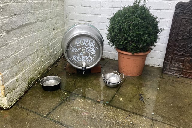 This Horsham pub is so dog-friendly that furry friends even have their own 'bar' area serving pints ... of water