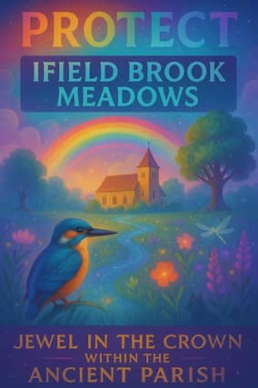 'Protect Ifield Brook Meadows - Jewel in the Crown of the Ancient Parish'