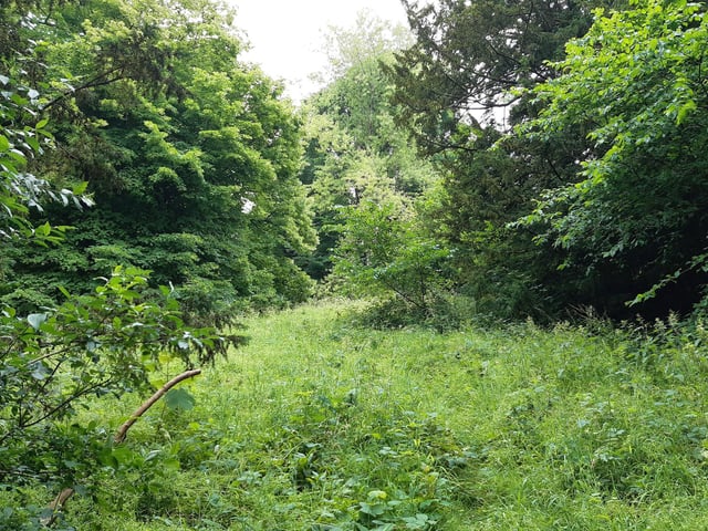 It even becomes a bit overgrown but I promise you it is still the path to follow