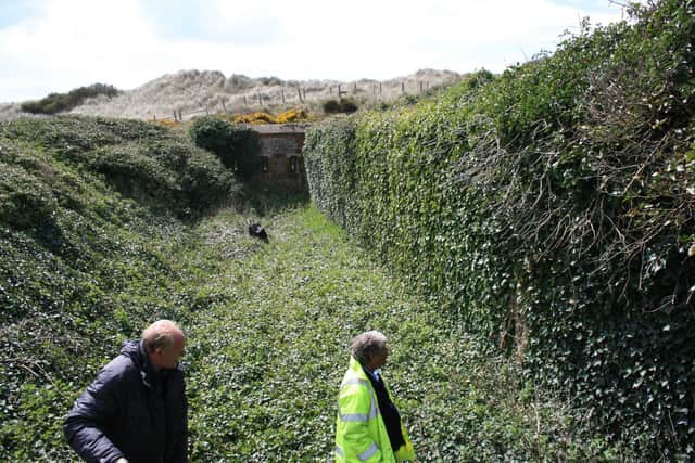A mound of ivy was hiding the gun emplacements