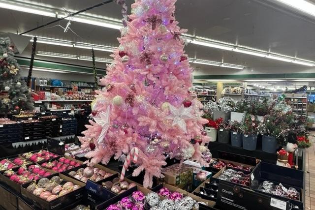 ESK Christmas display