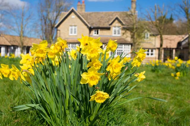 House prices in East Sussex: Gardens add nearly £60,000 to value
Picture: drimafilm /Adobe Stock