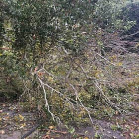 East Sussex Highways dealt with 218 emergency calls as Storm Austen and Storm Boelo hit the county, bringing down trees and causing flooding