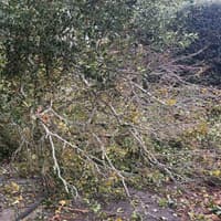 Storm Austen and Storm Boelo: Highways teams called to more than 200 incidents across East Sussex