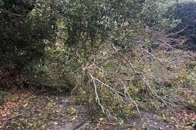 East Sussex Highways dealt with 218 emergency calls as Storm Austen and Storm Boelo hit the county, bringing down trees and causing flooding