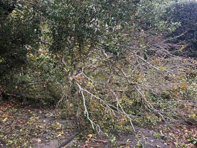 East Sussex Highways dealt with 218 emergency calls as Storm Austen and Storm Boelo hit the county, bringing down trees and causing flooding
