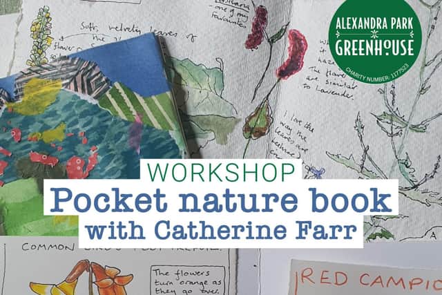 Nature book workshop by Catherine Farr.