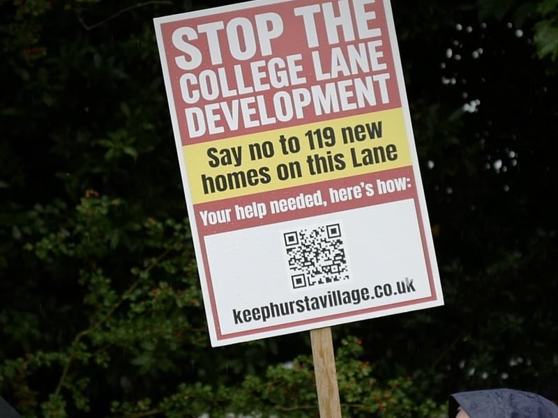 Demonstrators on Hurstpierpoint village green. Picture: Kelly Hyatt