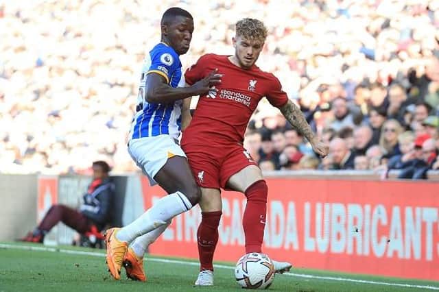 Brighton midfielder Moises Caicedo has impressed following his introduction to the Premier League and has been linked with Liverpool and Arsenal
