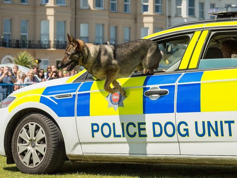 A weekend of free emergency services displays on the Western Lawns. Here, you can get a close look at emergency response vehicles, get on board a fire engine or ambulance, and see arena demonstrations from the police dogs.