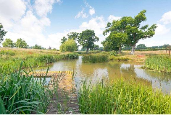 A picturesque pond, well-stocked with water plants including iris and lilies, with a jetty, central island and two bridges occupies the southern section of the garden and is bordered by a wildflower meadow with mown pathways.