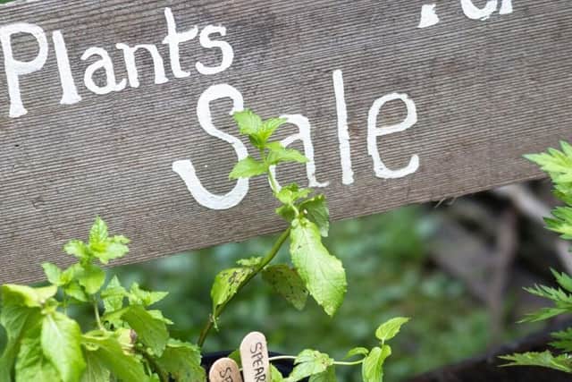 St Catherine's are looking for green fingered gardeners to help them raise funds