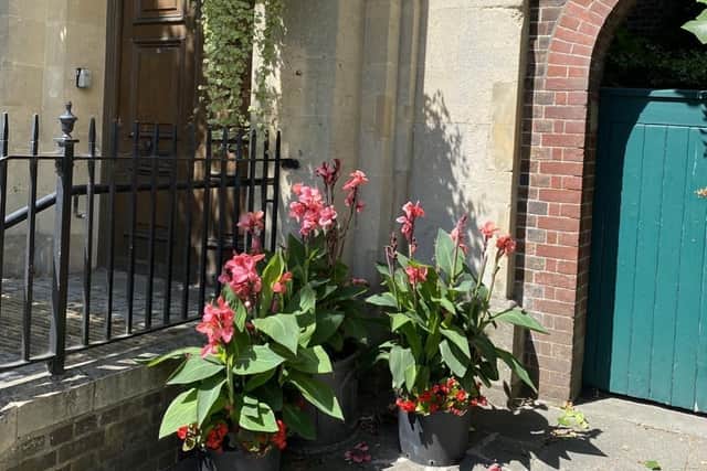 Petworth is celebrating winning gold in the regional In Bloom competition.