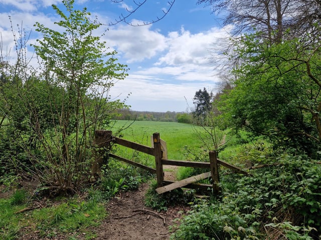 You need to go over this stile into Surgeon's Field and walk along the path ahead, with the woods on your right