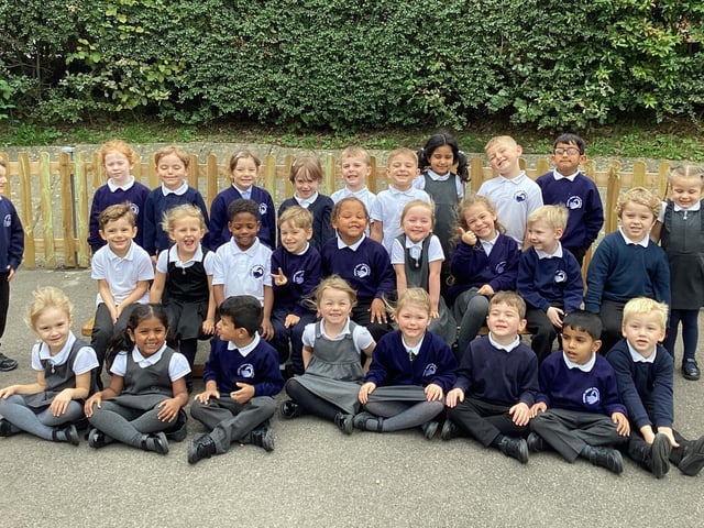 Gossops Green Primary - Willow class
