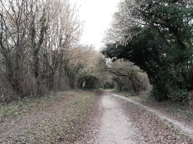 You get a second opportunity to experience the magical holloway