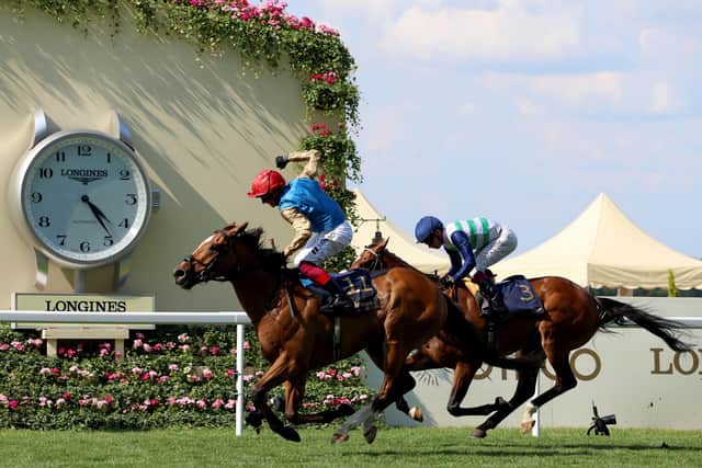 Goodwood Cup bound... : Frankie Dettori celebrates as he rides Courage Mon Ami to victory In The Gold Cup on day three during Royal Ascot 2023 at Ascot Racecourse on June 22, 2023  (Photo by Tom Dulat/Getty Images for Ascot Racecourse)
