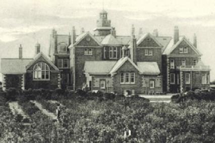 The orchard at Rustington Convalescent Home around 1908. By the outbreak of the Second World War, the orchard had fallen into disuse and the remaining stumps were cleared in 1951.
