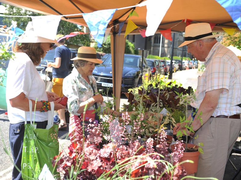 Plants and more. Picture: Steve Robards/Sussex World