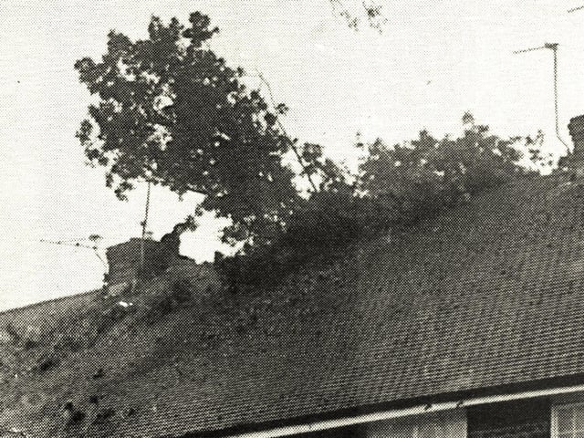 Part of an oak tree fell on a house in The Welkin, Lindfield