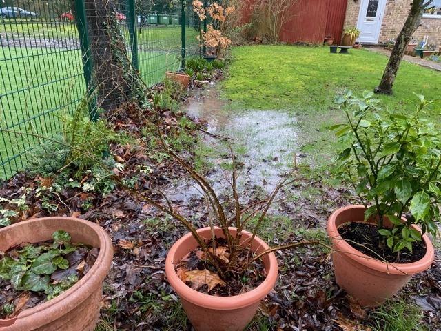 A group of residents are involved in a row with a Worthing primary school after instances of heavy flooding, which they say is destroying their gardens.