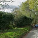 Fernden Lane, Haslemere. Picture: Google Maps