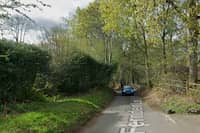 Fernden Lane, Haslemere. Picture: Google Maps