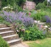 The Cottage, a quintessential English cottage garden in Pulborough.