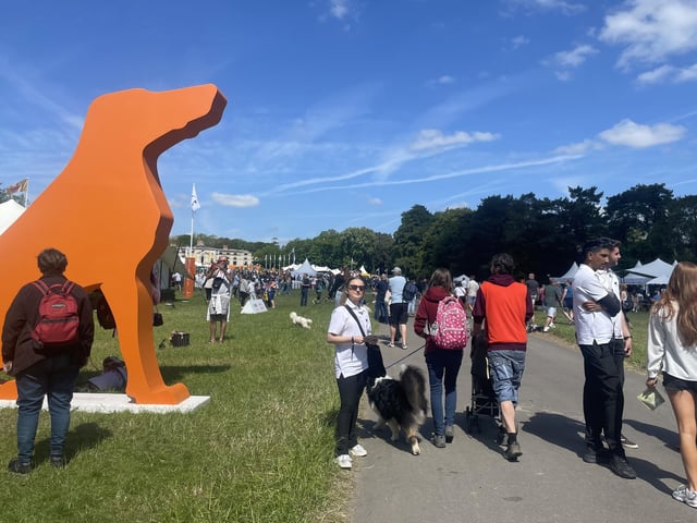 Dogs and owners excitedly make their way into the canine festival.