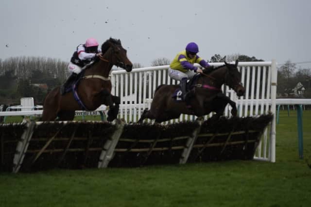 National Spirit Hurdle race day 2025 at Fontwell Park