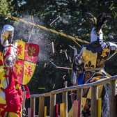 Jousting for honour and glory at The Loxwood Joust