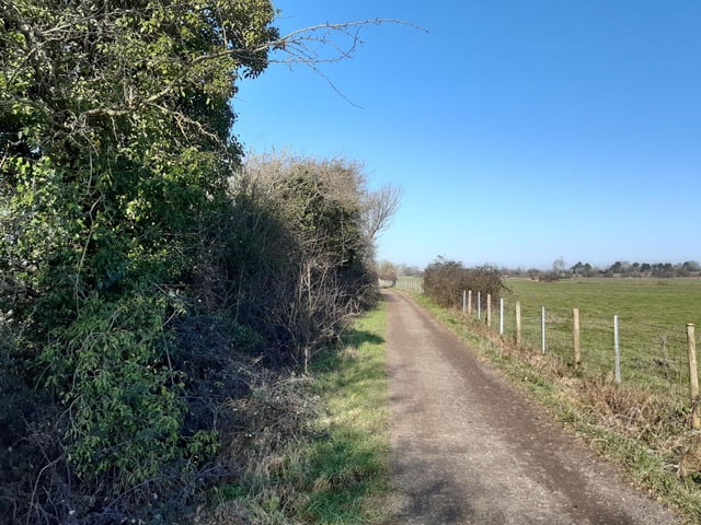 This is a fairly straight, wide and level path.