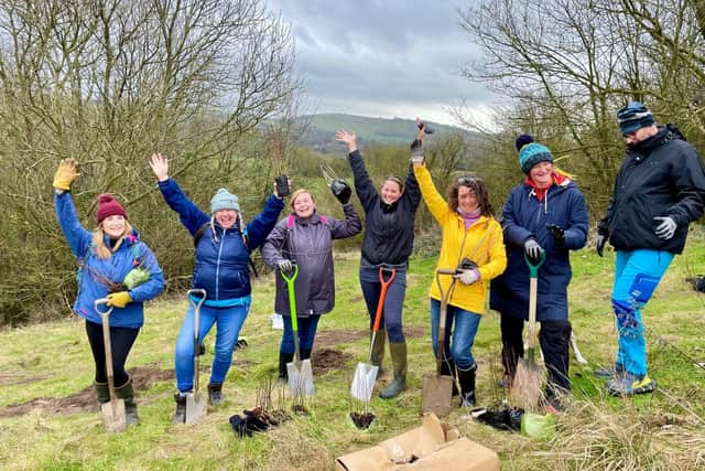 Smashed Nps Target South Downs National Park smashes 100,000 trees target