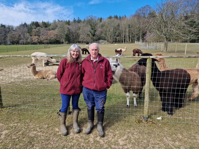 Peta and Bruce Ives believe they were the first people in the world to offer alpaca walking to the public