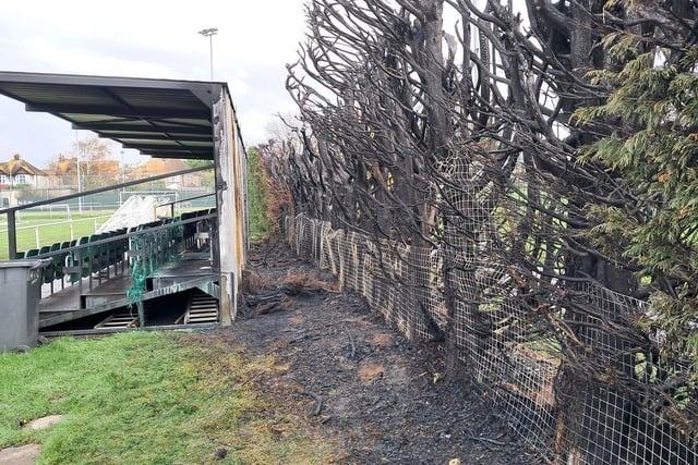 Sussex Police said it was ‘fortunate that no one was injured’