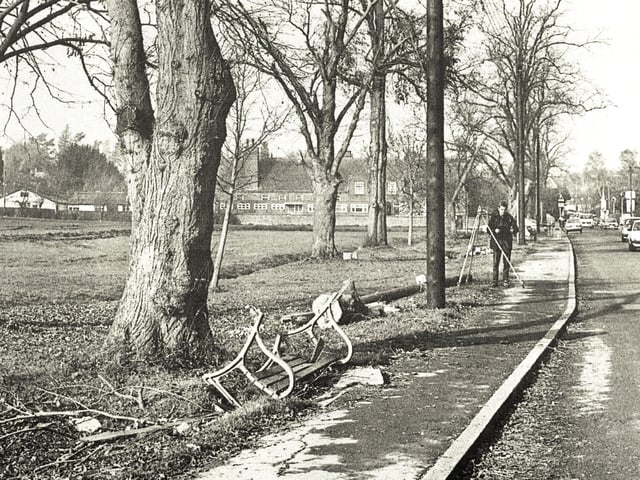 Lindfield Common after the Great Storm of 1987