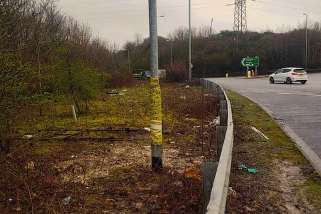 Roger Nutkins took photos of a large amount of litter scattered on the verges of the A27 roundabout leading into Lewes, generating a lot of debate on social media.