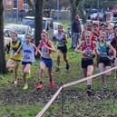 HY Runners' red vests are to the fore in the Sussex cross country championships which the club hosted at Bexhill | Contributed picture