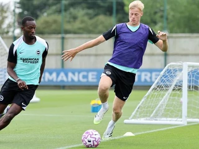 Albion's player of the year was linked with a move to Newcastle over the summer but the defender will likely be a key man for Hurzeler once again.