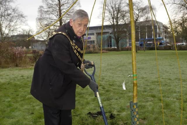 Mayor of Crawley plants a tree